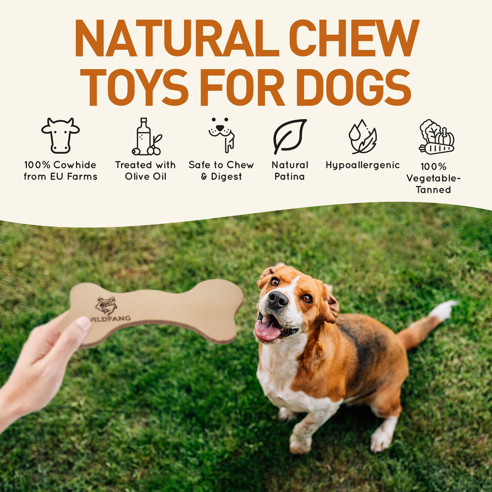 Wildfang Leather Bone in action—teething puppies enjoy soothing chew.