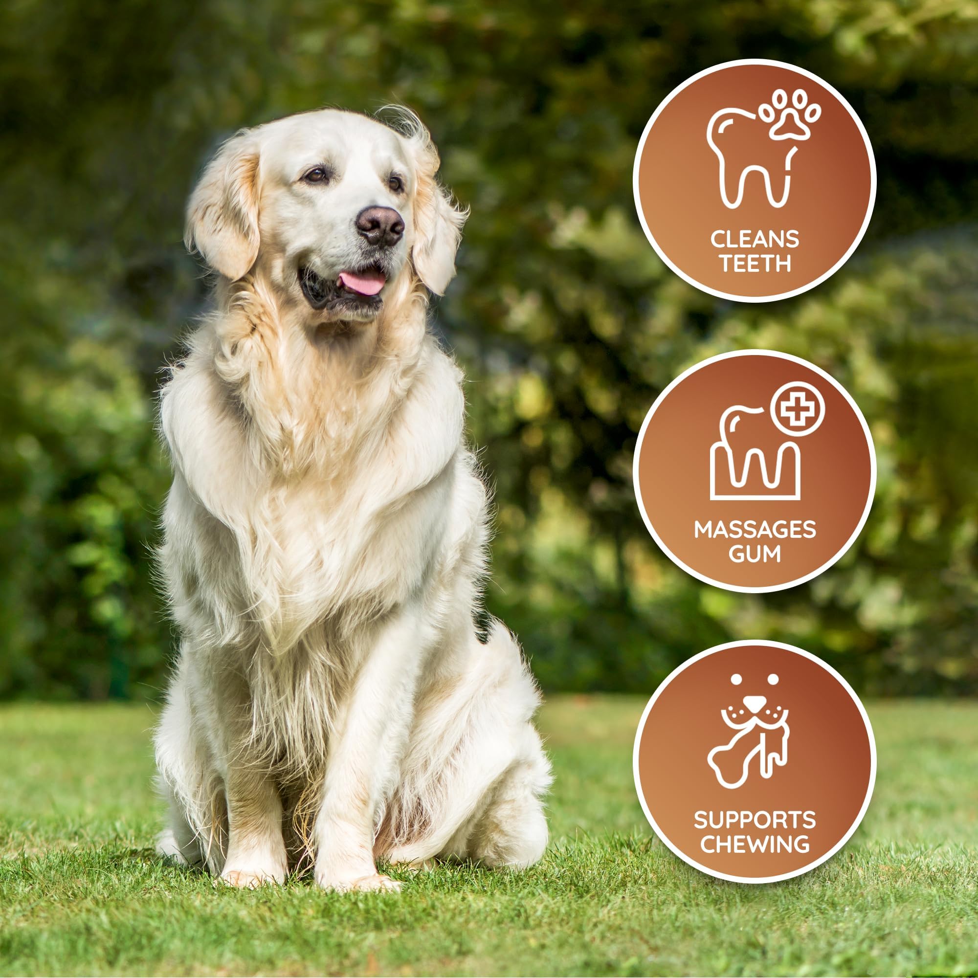 Wildfang Leather Bone—safe, natural alternative to wood or rawhide.