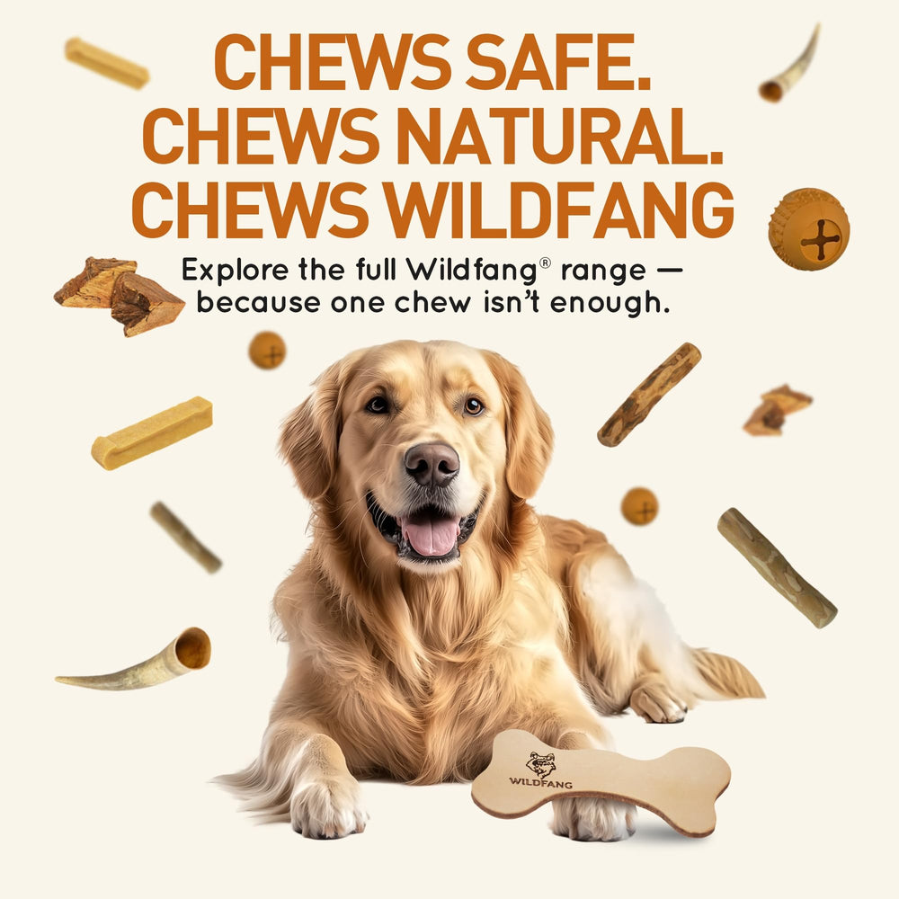 Wildfang Leather Dog Toy Large in use—engages dogs for hours of play.
