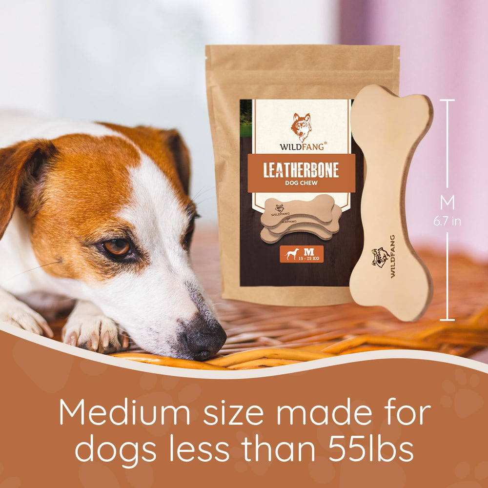 Wildfang Leather Dog Toy Medium dog-uses illustrates daily chew for light to moderate chewers.