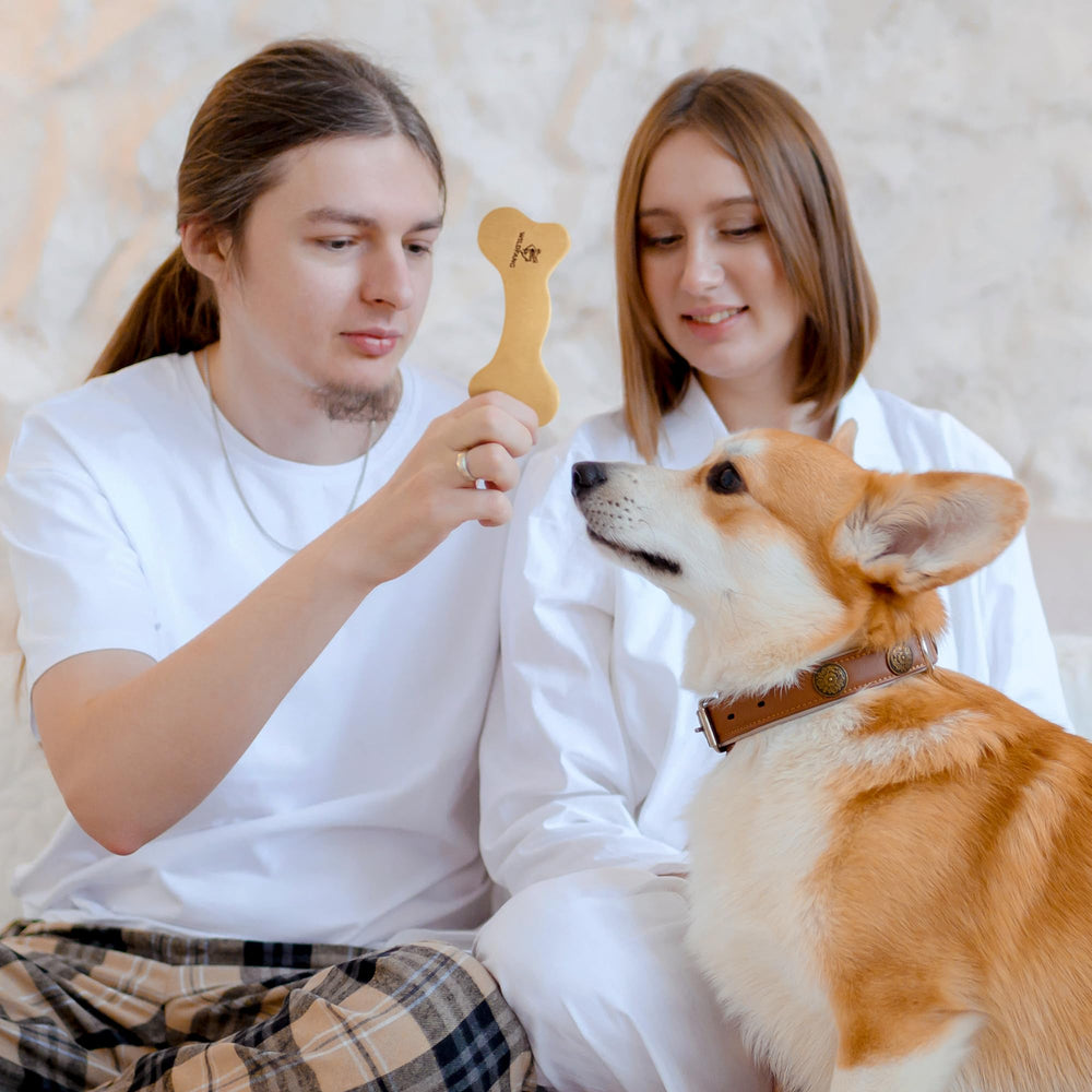 Wildfang Leather Dog Toy Medium durable close-up communicates wear and texture.