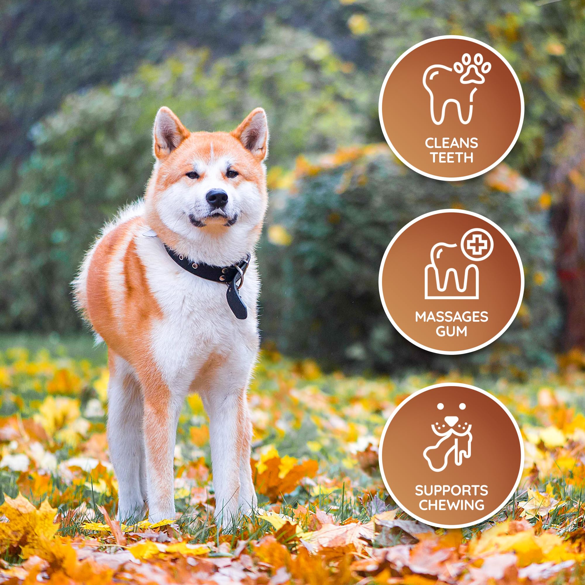 Wildfang Leather Dog Toy Medium safe-materials highlights plastic-free eco-friendly composition.