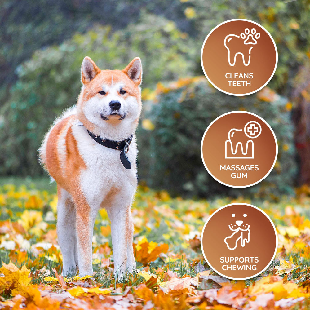 Wildfang Leather Dog Toy Medium safe-materials highlights plastic-free eco-friendly composition.
