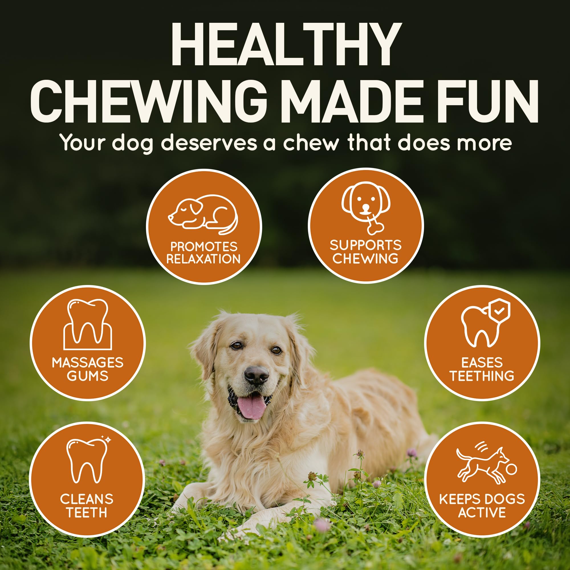 Wildfang Leather Dog Toy Small teething puppy view highlights safe chewing