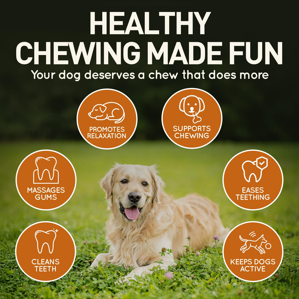 Wildfang Leather Dog Toy Small teething puppy view highlights safe chewing
