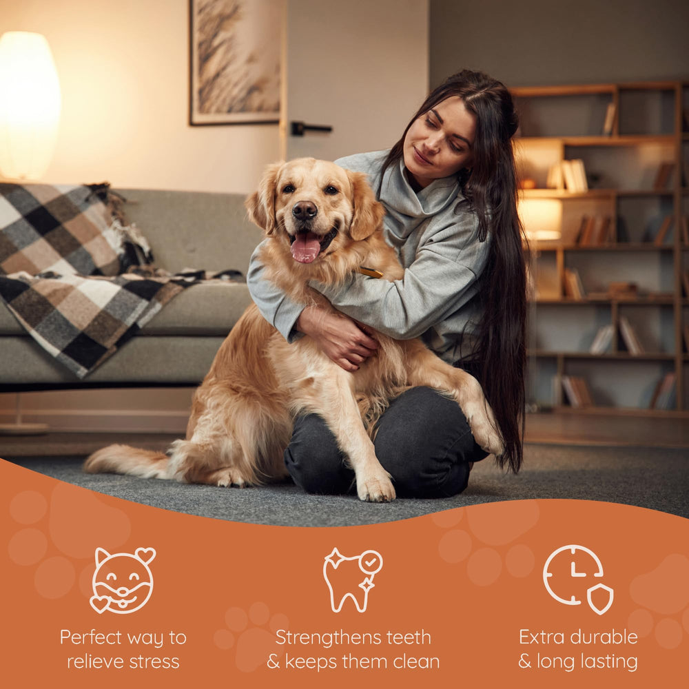 Wildfang Briar Wood odorless chew in action emphasizes safe, odor-free play