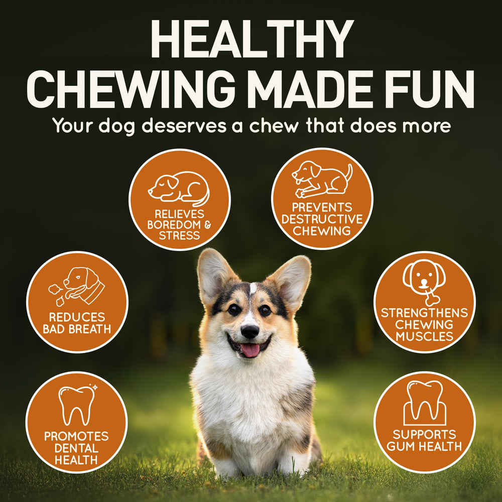 Wildfang Olive Wood durable wood texture emphasizes splinter-resistant design for aggressive chewers.