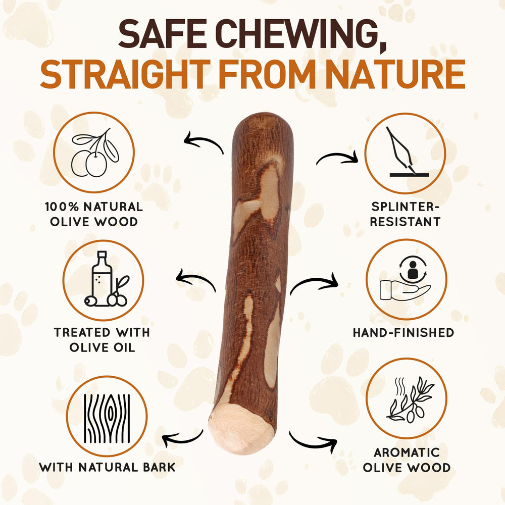 Wildfang Olive Wood splinter-resistant image demonstrates safe, natural chewing for dogs.