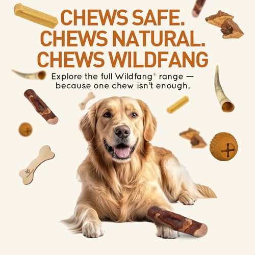 Wildfang olive wood sticks training scenario highlighting chew as focus-reinforcement tool.