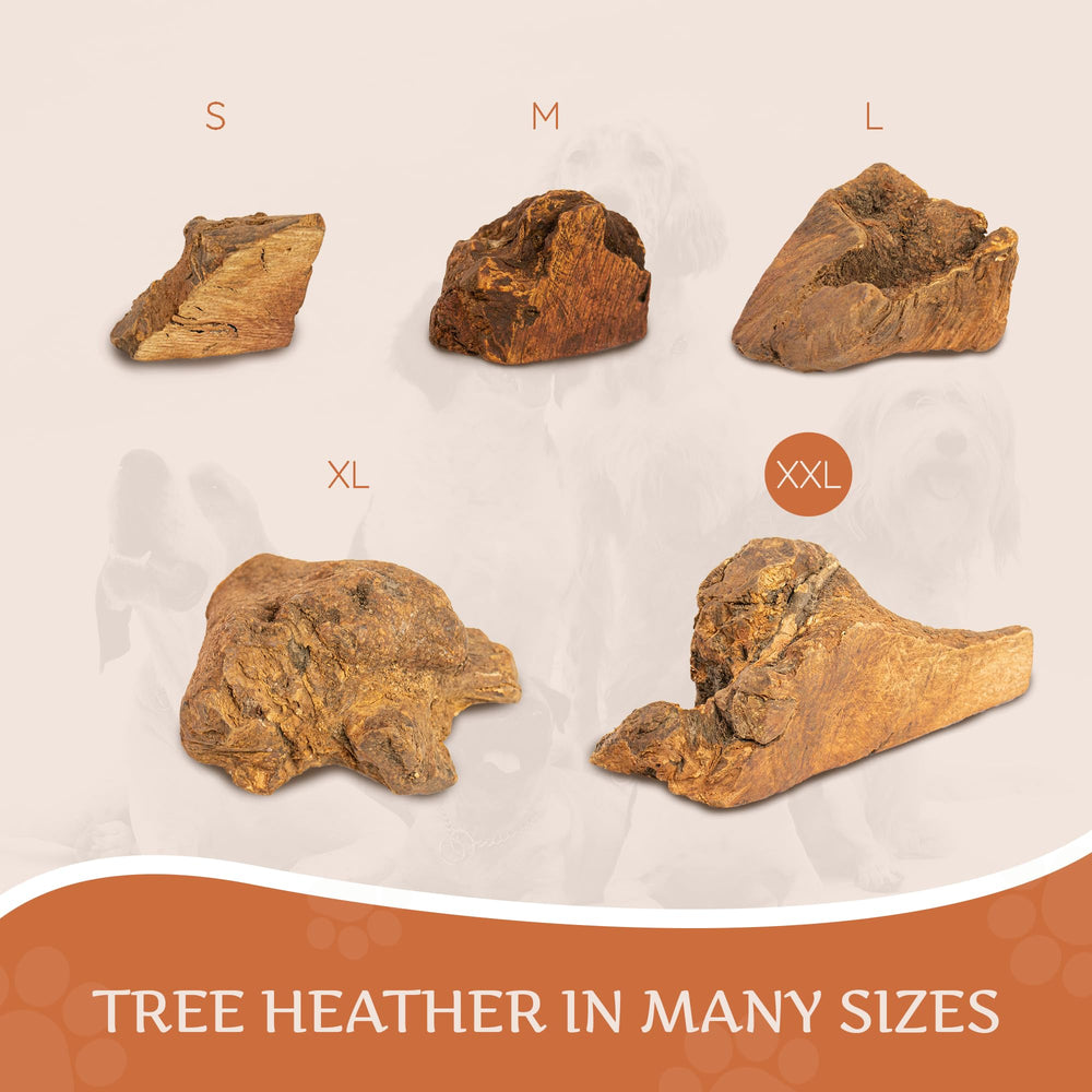 Wildfang Untreated root texture detail highlighting natural, splinter-free chew surface