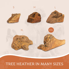 Wildfang Untreated root texture detail highlighting natural, splinter-free chew surface