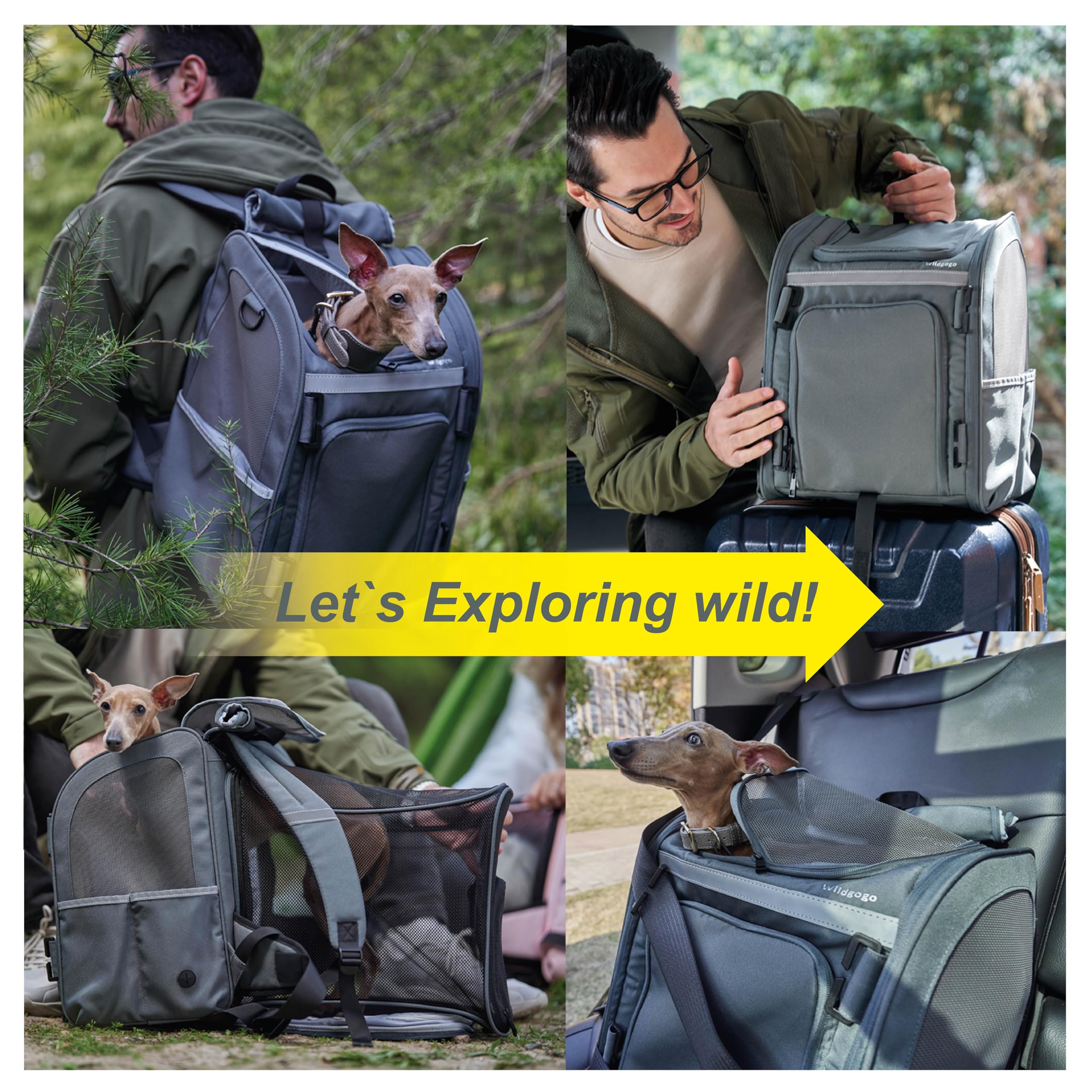 Wildgogo expandable pet carrier doubles as car-seat and temporary shelter.