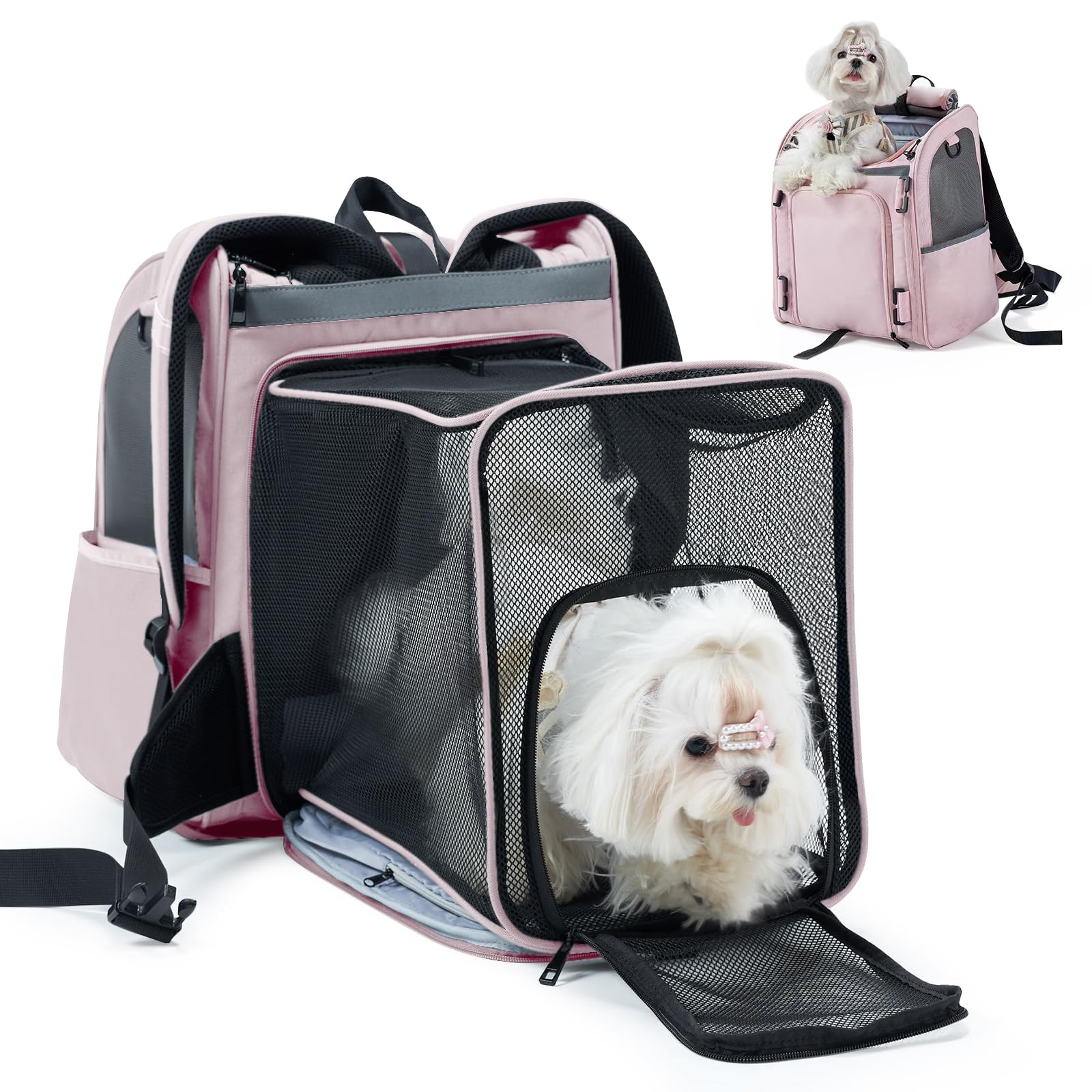 Wildgogo expandable pet carrier front view highlights portable travel-ready design for cats and small dogs.