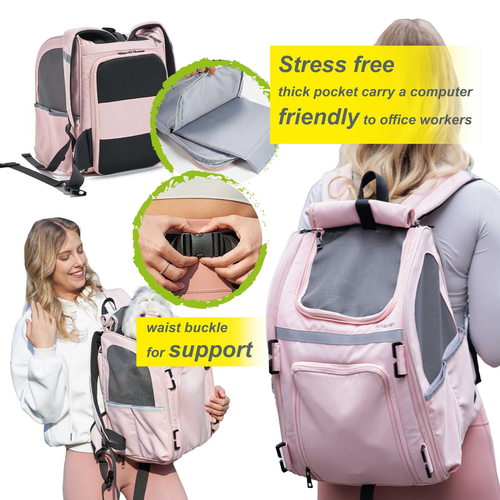 Wildgogo safety-buckles built-in-safety-leash reinforce secure car-seat use during trips.