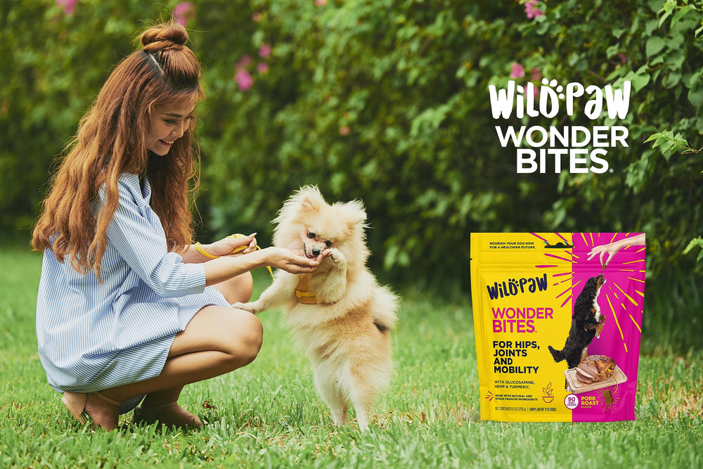 WildPaw WonderBites allergen-free-preservative-free label showcases pet-safe chews.