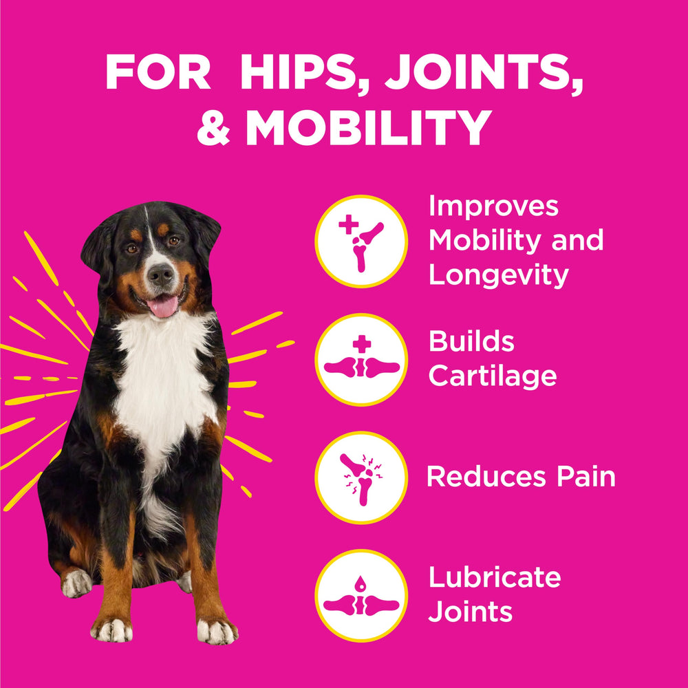 WildPaw WonderBites dog-eating-chews on the counter illustrate tasty joint support.