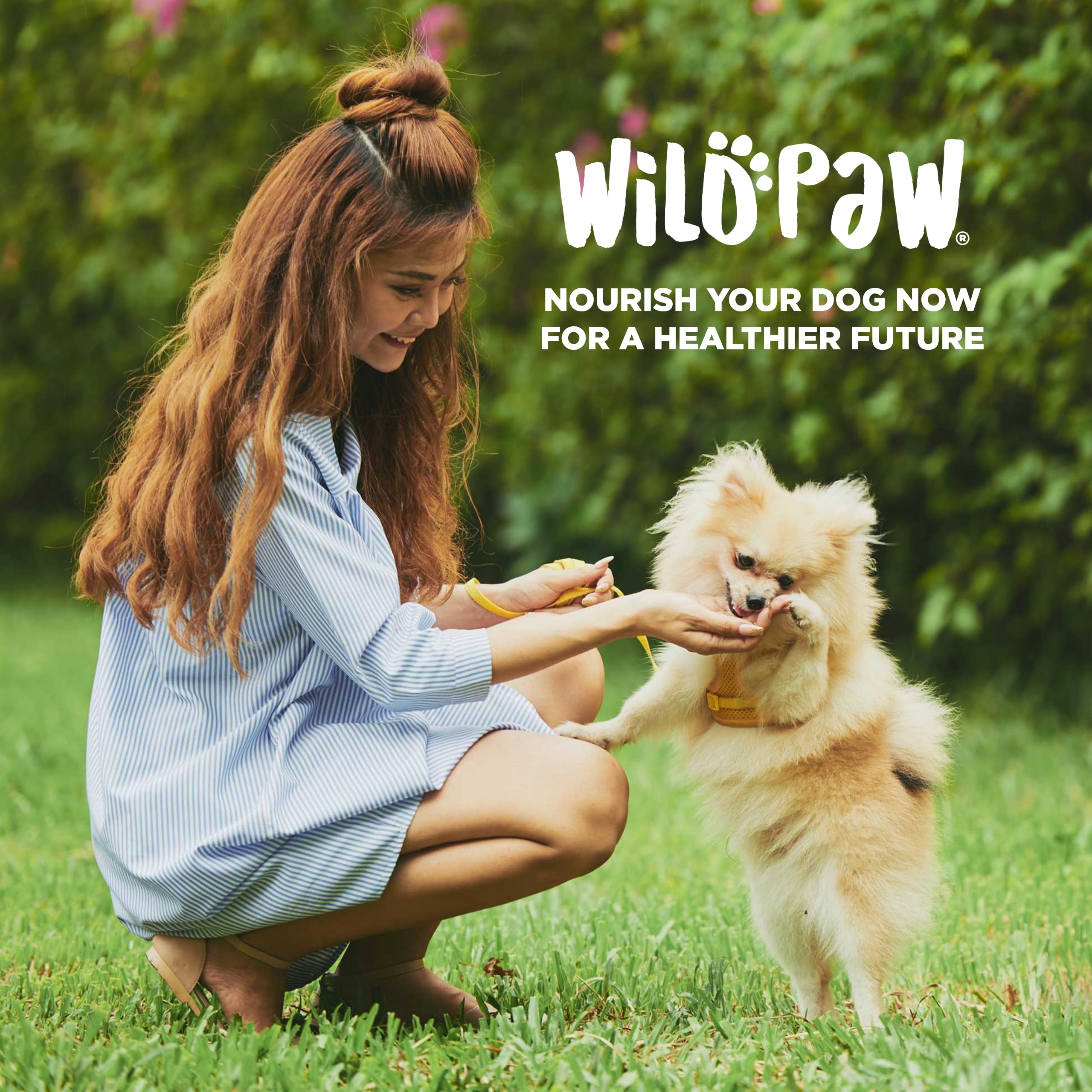 Wildpaw WonderBites packaging on-shelf demonstrates convenient, pet-parent friendly supplement