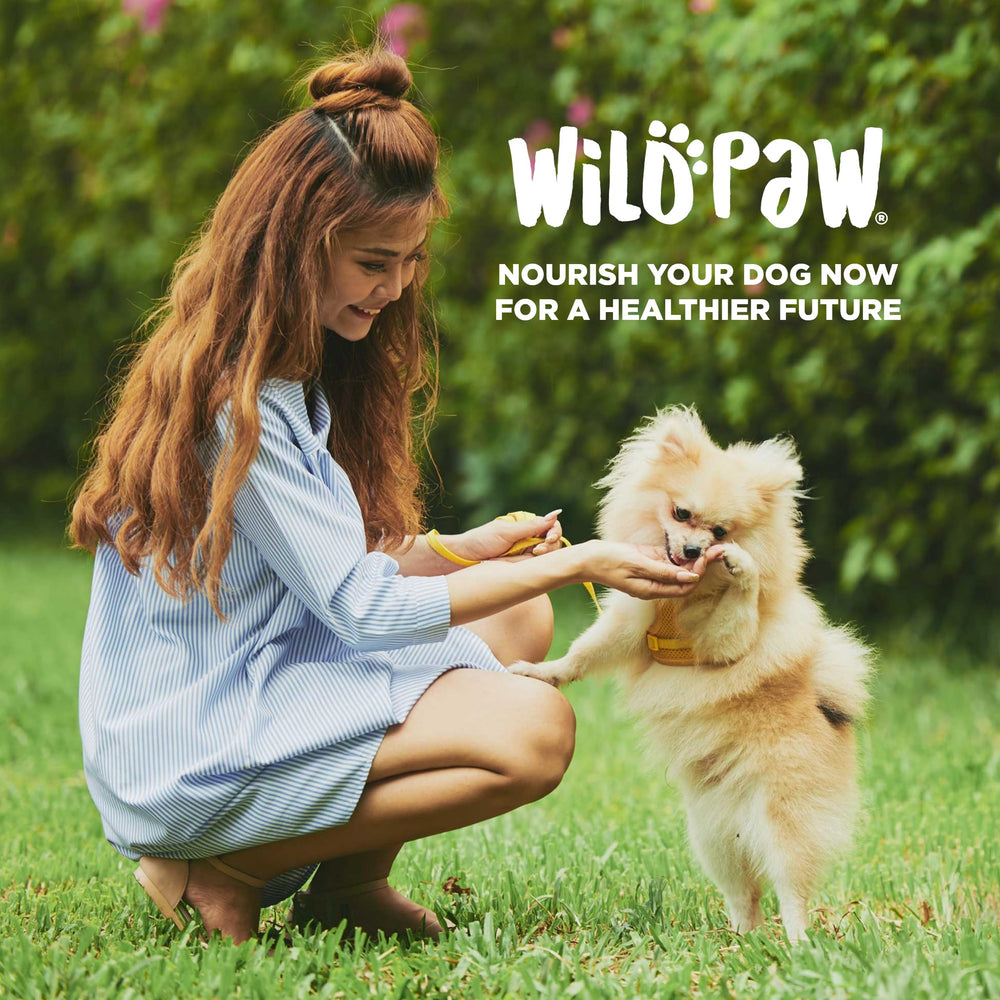 Wildpaw WonderBites packaging on-shelf demonstrates convenient, pet-parent friendly supplement
