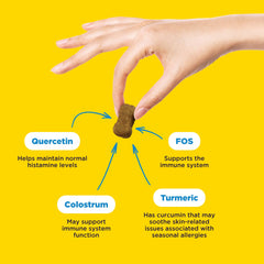 Wildpaw WonderBites soft chews closeup shows tasty texture for daily dosing