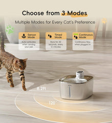 WILKIEE cat water flow stream illustrates automatic 12-second refreshment