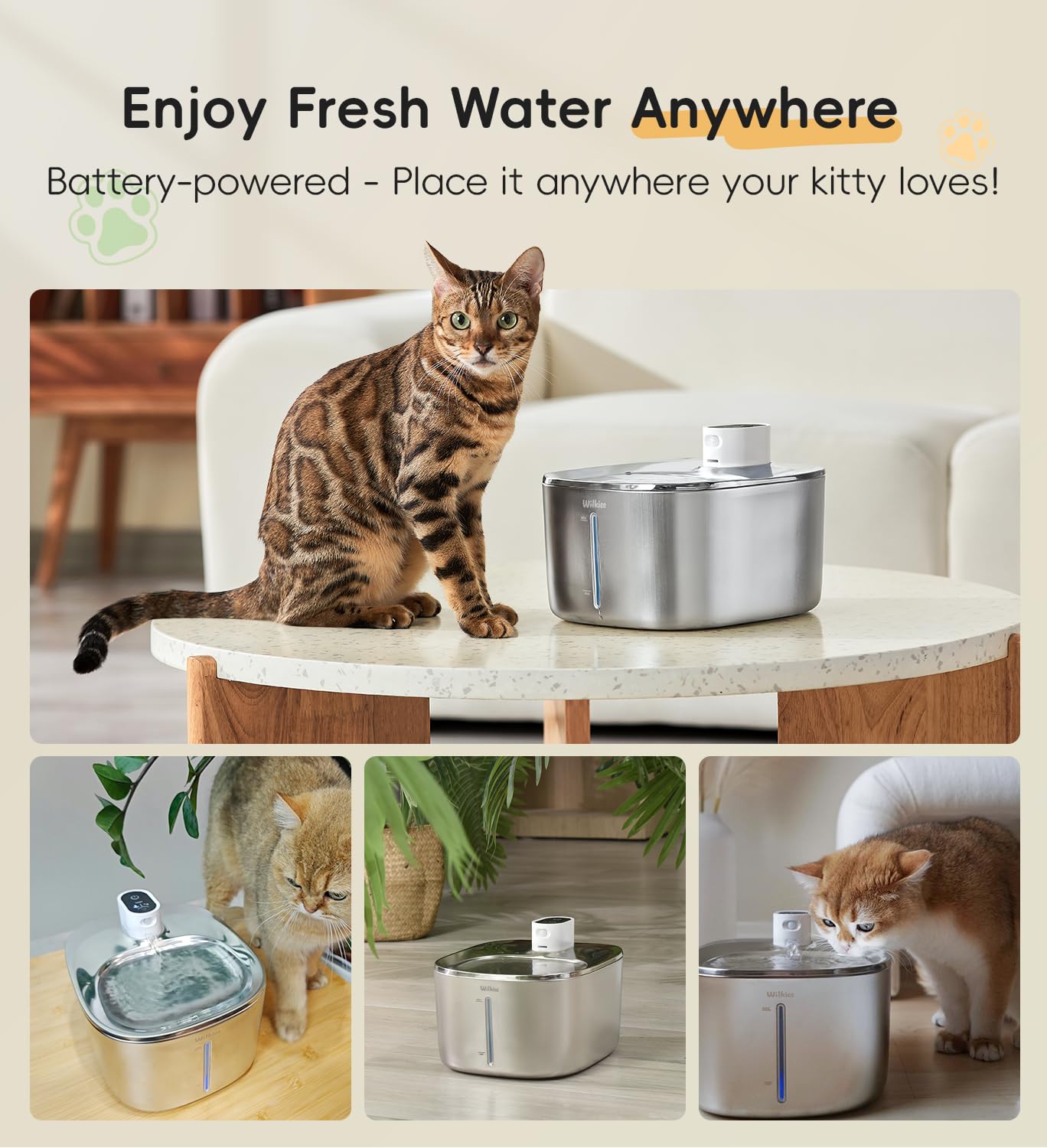 WILKIEE cordless battery powered fountain demonstrates freedom to place anywhere
