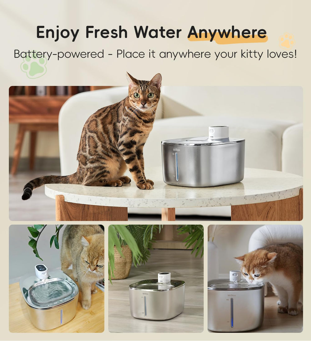 WILKIEE cordless battery powered fountain demonstrates freedom to place anywhere