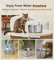 WILKIEE cordless battery powered fountain demonstrates freedom to place anywhere