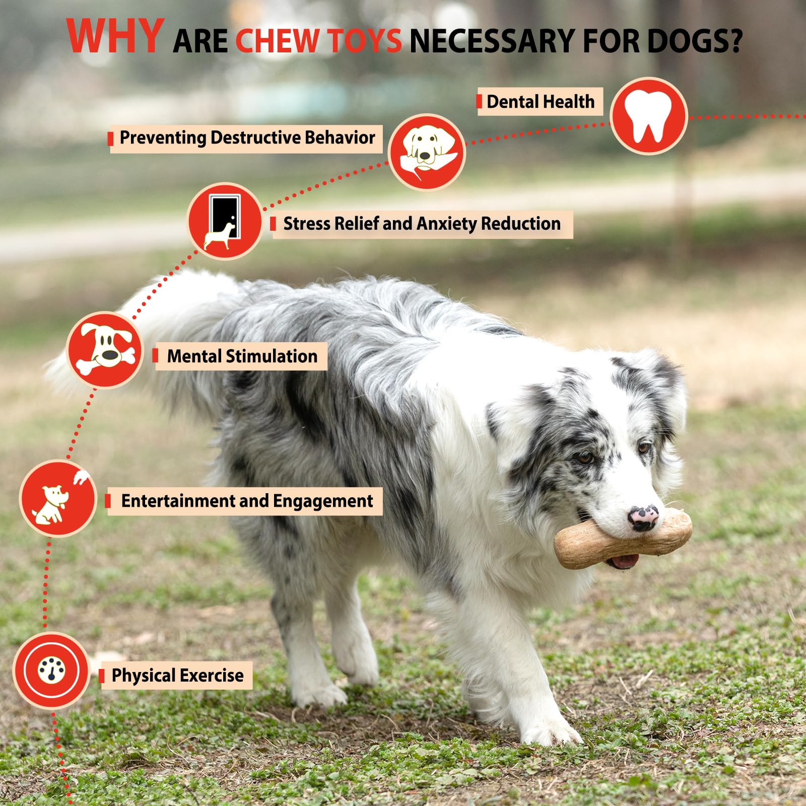 Willjoy durable chew-toy designed for aggressive chewers and tough play.