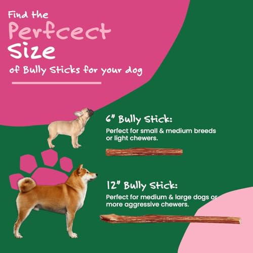Willow & I bully sticks 6-inch protein focus highlights high-protein, low-fat dog snack