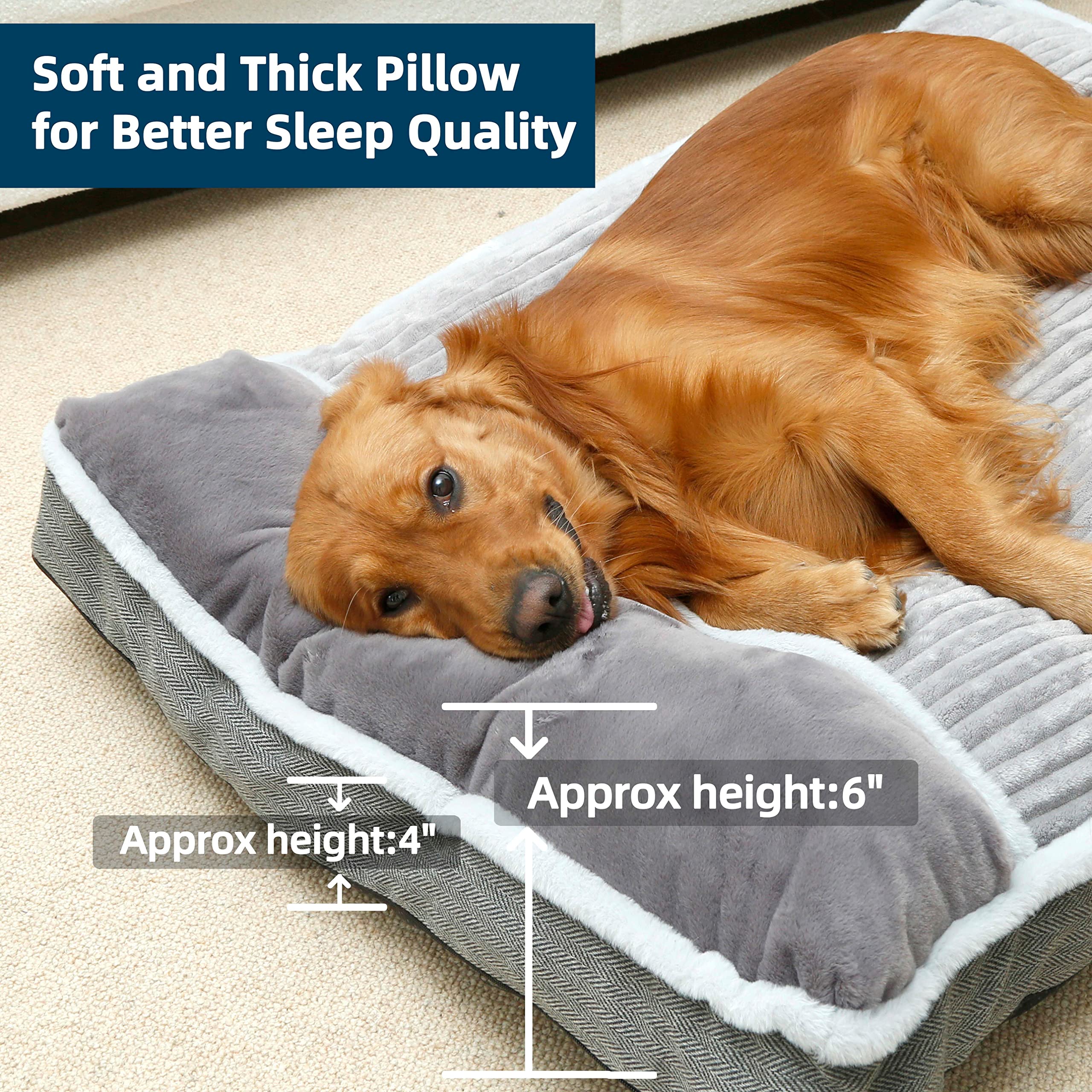 WINDRACING dog bed granular-foam-bottom shows durable core for comfort
