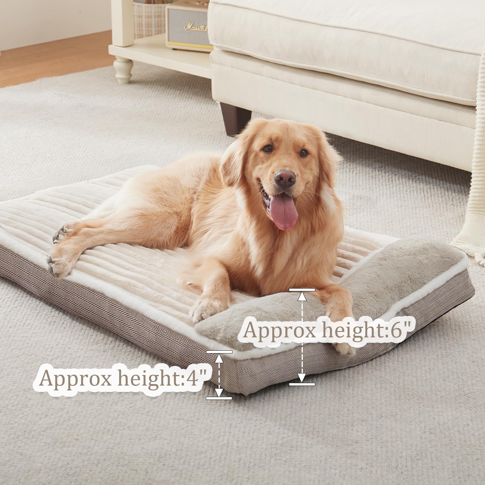 WINDRACING dog bed vacuum-packed packaging expands to full loft.