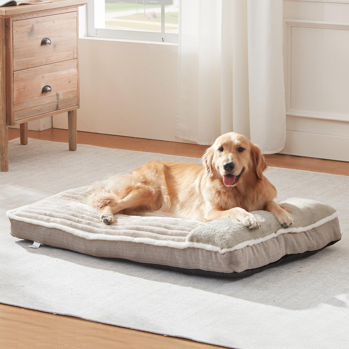 WINDRACING dog bed large-foam-support shows granular bottom support for steady comfort.
