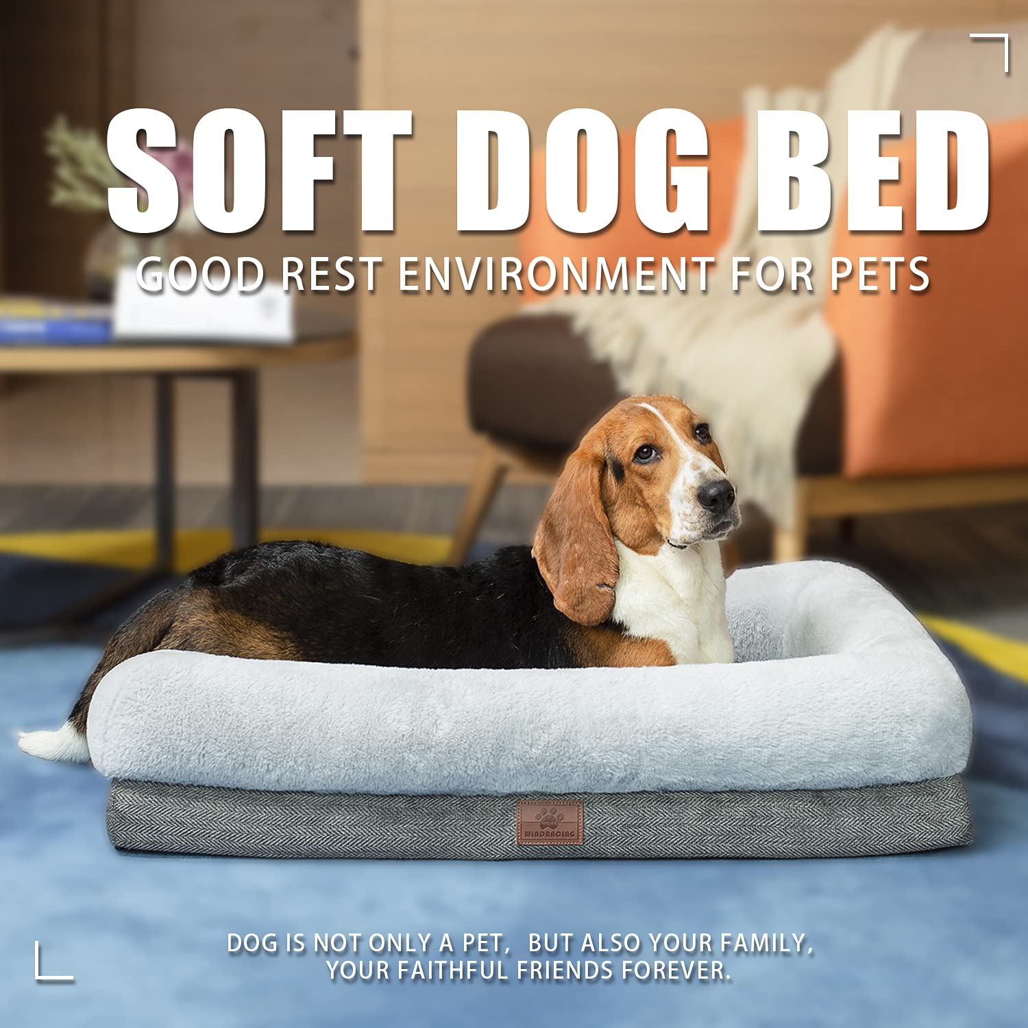 WINDRACING dog bed in living room gray demonstrates versatile medium size use