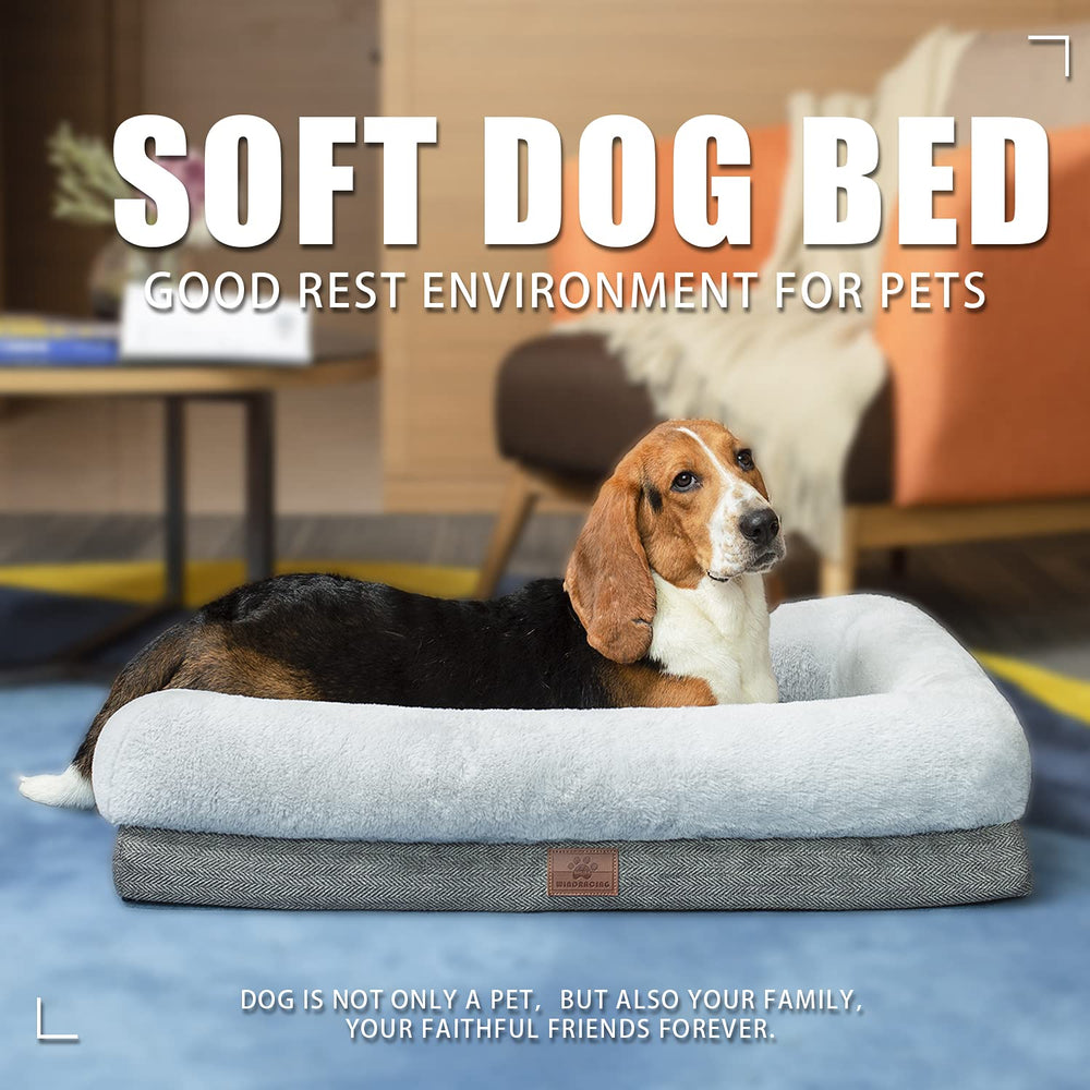 WINDRACING dog bed in living room gray demonstrates versatile medium size use