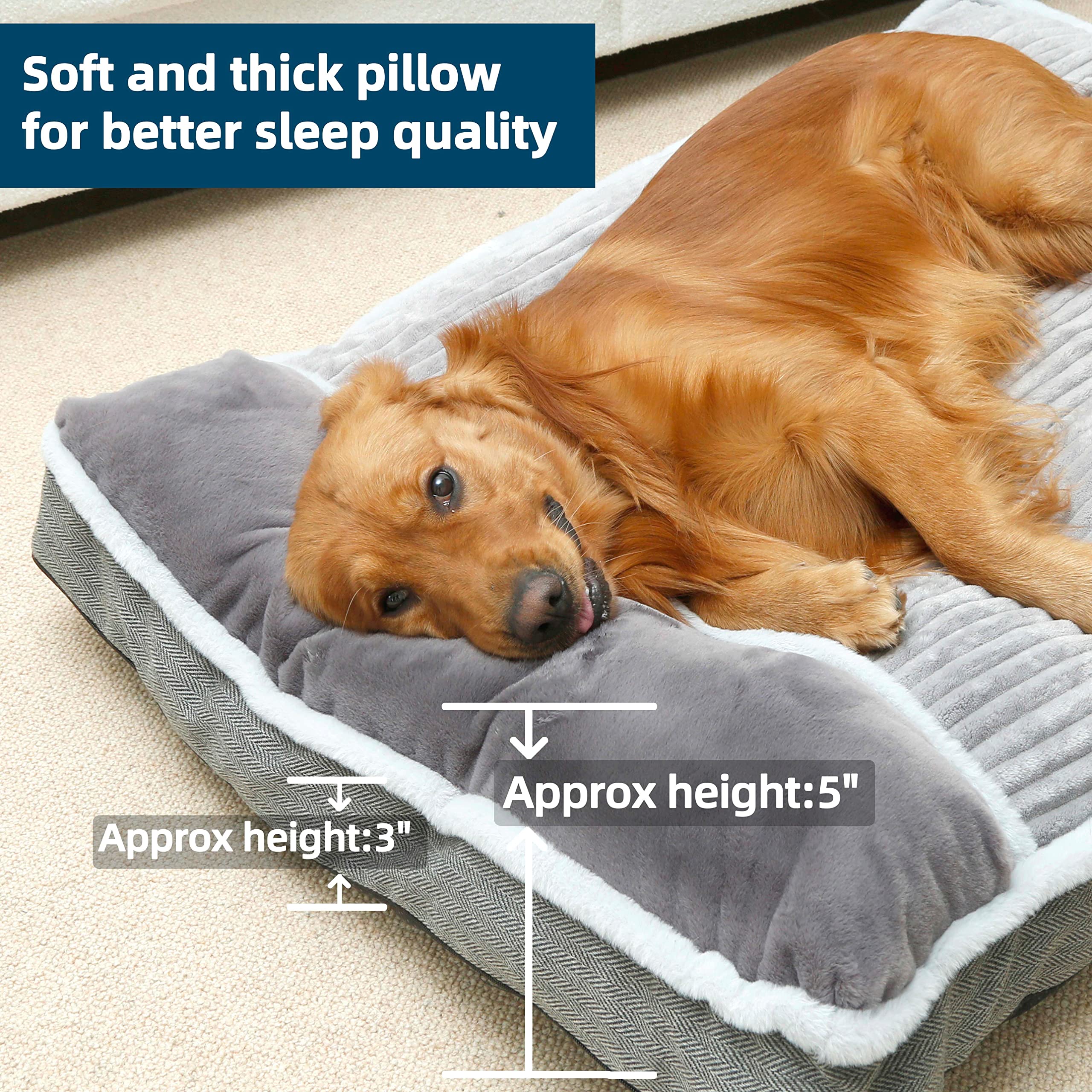WINDRACING dog bed sofa-style setup provides lounge-ready comfort in a home.