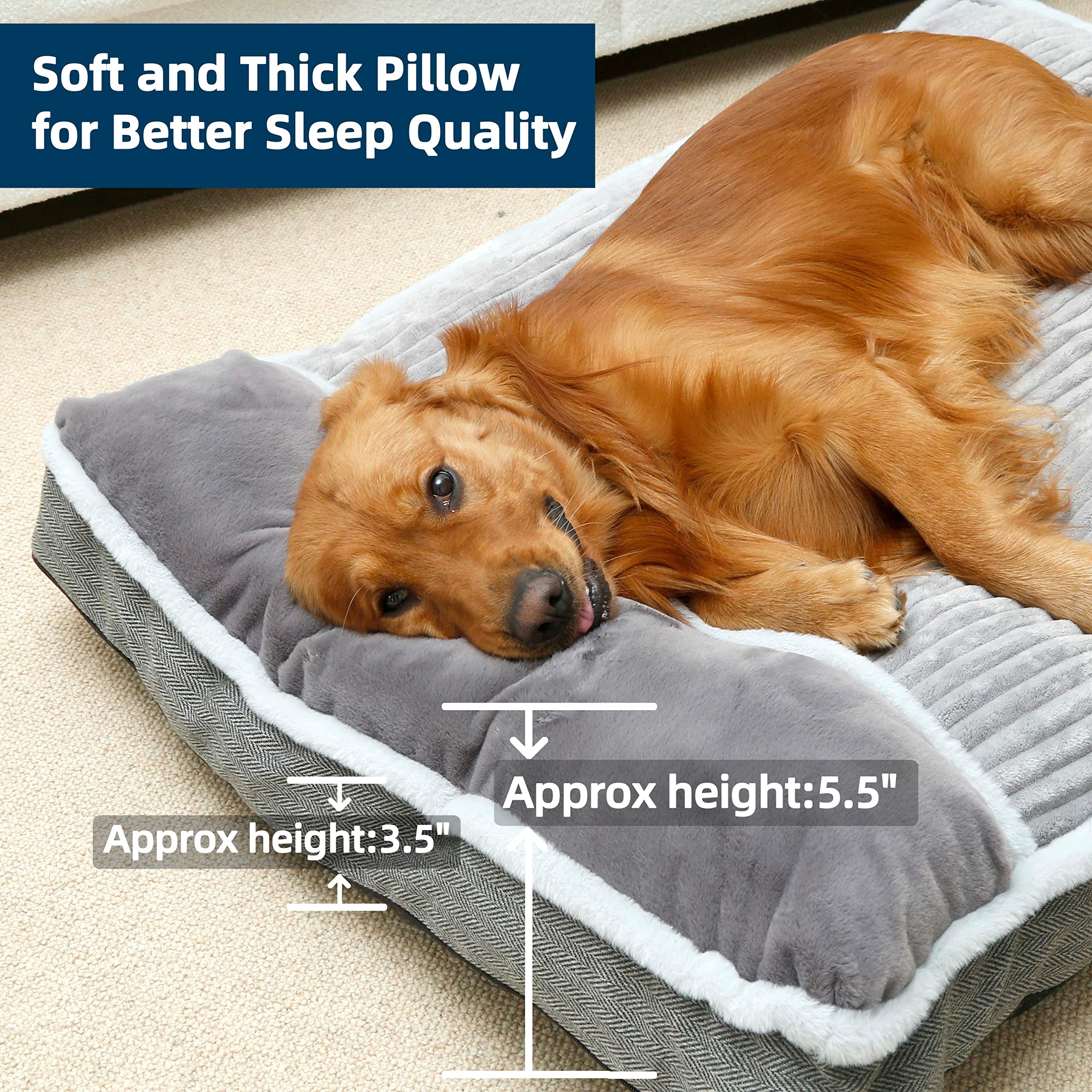 WindRACING large dog bed nonremovable-pad shows simple cleaning and care.