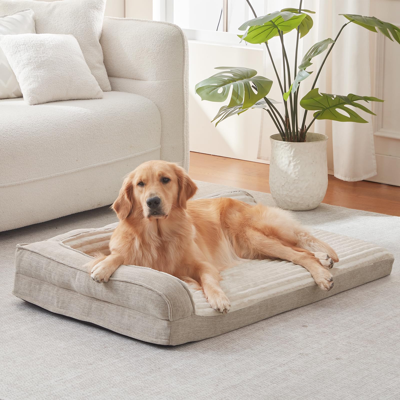 WINDRACING orthopedic egg foam bed provides full support for medium dogs