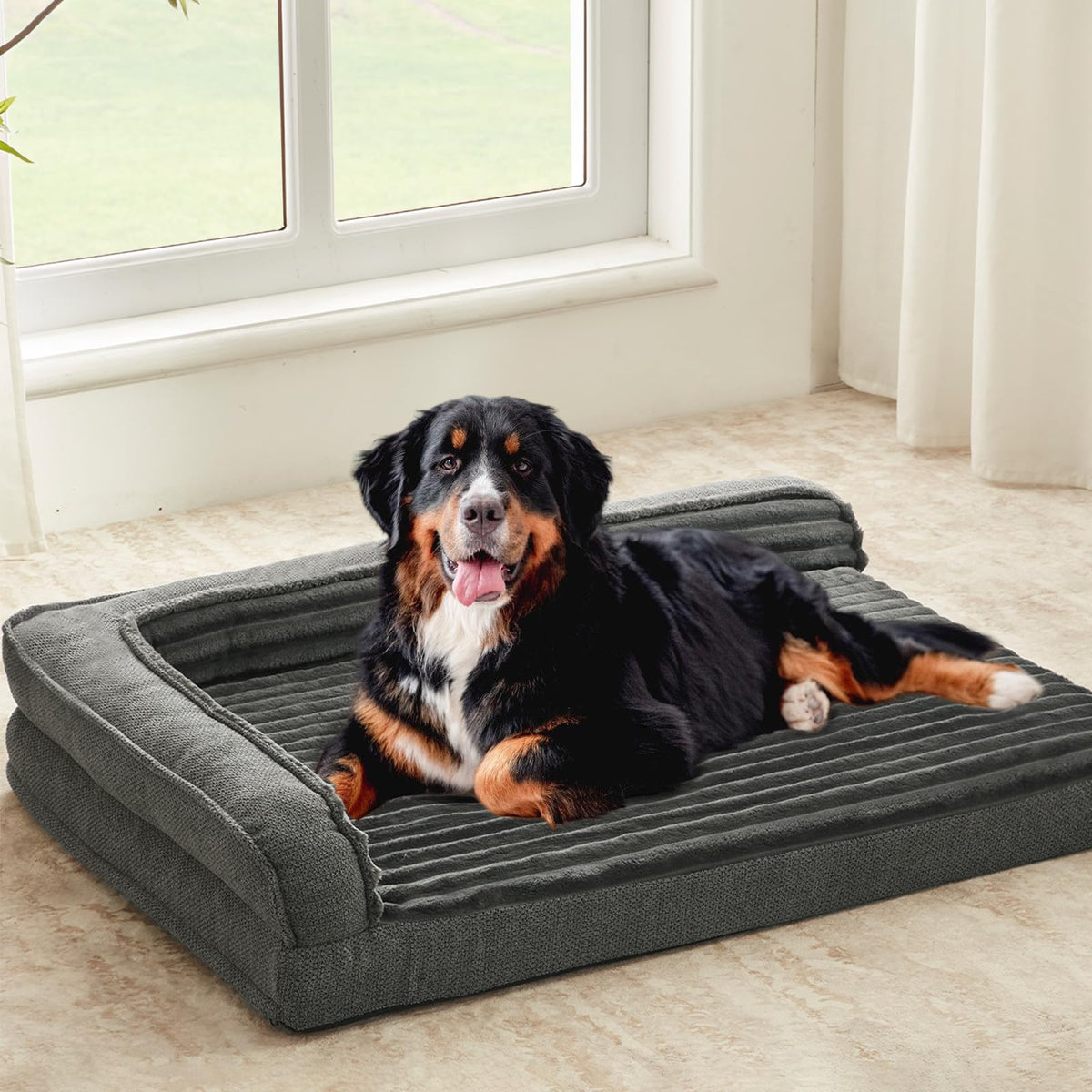 WindRacing XXLarge orthopedic dog bed front view showing spacious lounging area.