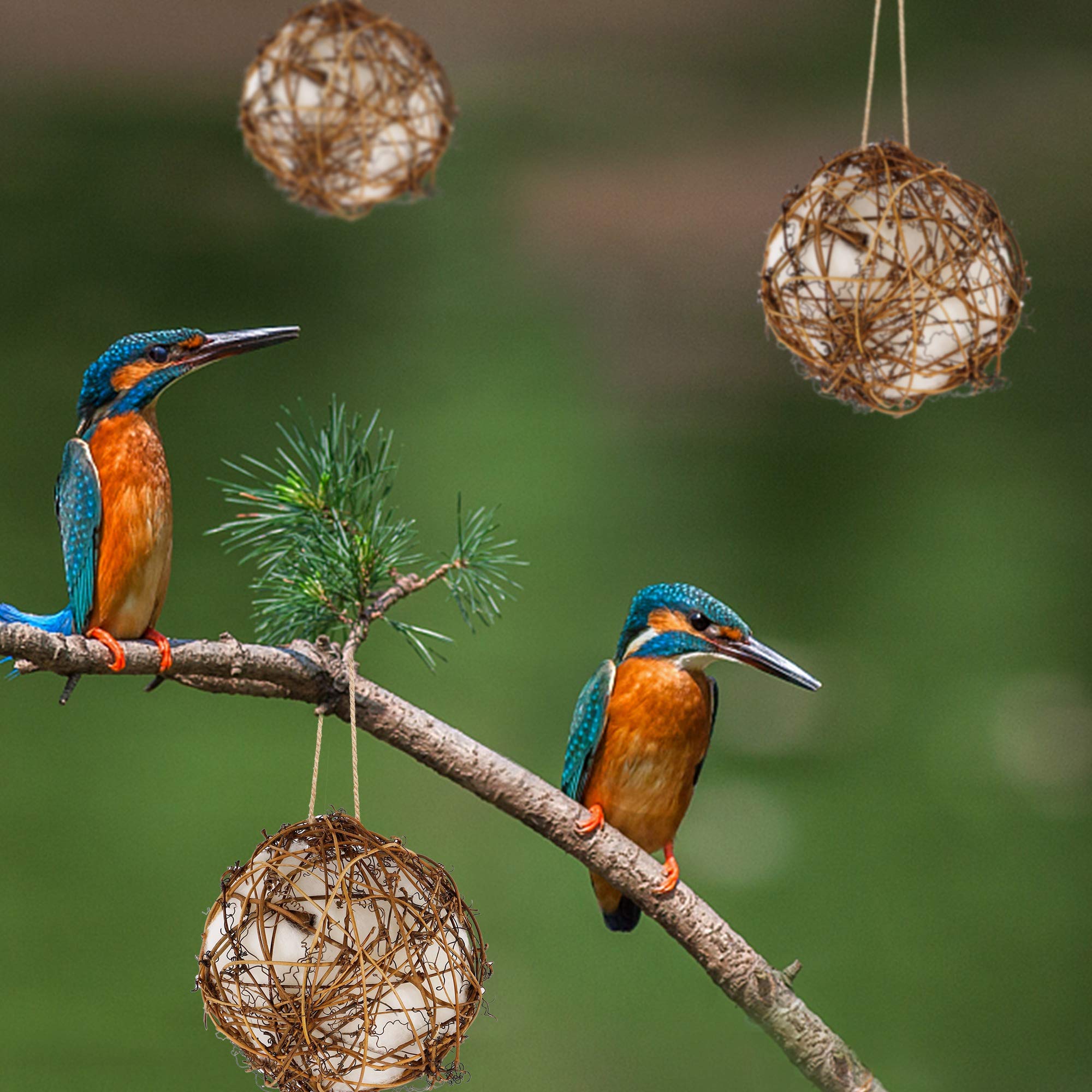 Winemana nesters can be hung in garden balcony or office with rope and hooks