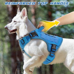 WINGOIN blue tactical harness handle and D-rings for confident leash control.
