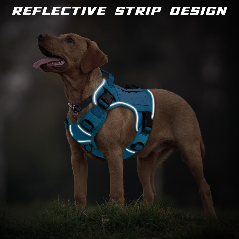 WINGOIN blue tactical harness reflective strip enhances night visibility.