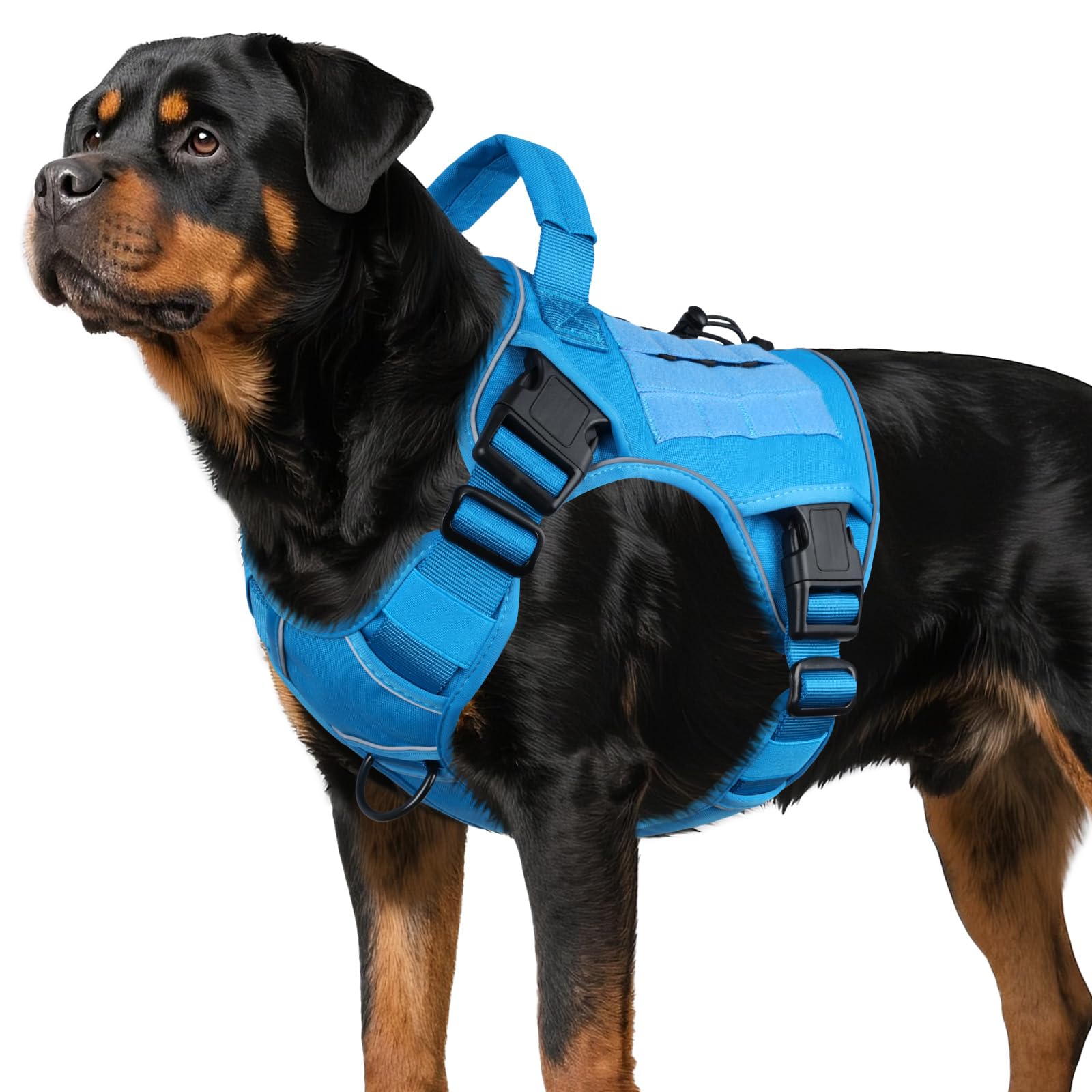 WINGOIN blue tactical dog harness side view for comfortable, controlled walks.
