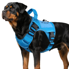WINGOIN blue tactical dog harness side view for comfortable, controlled walks.