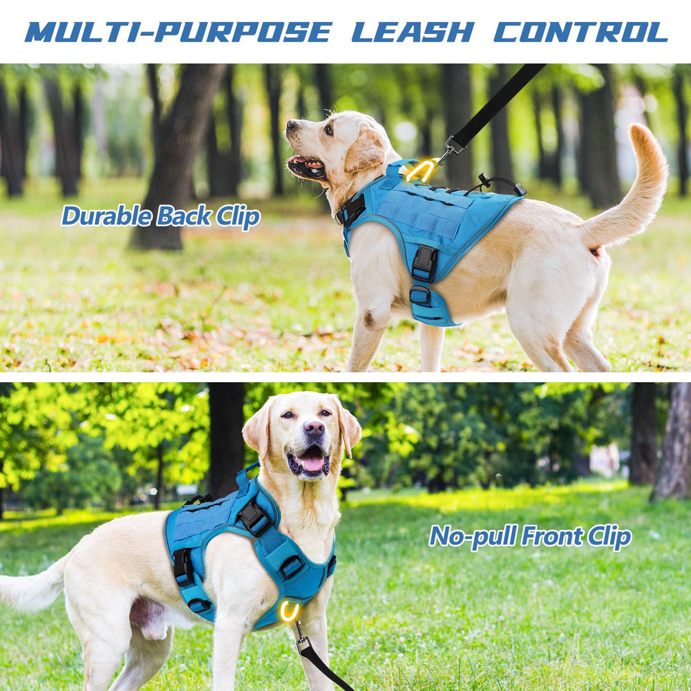 WINGOIN size-guide view helps selecting the right fit for large breeds.