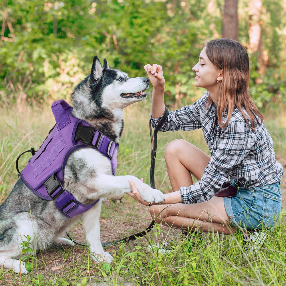 WINGOIN harness handle offers controlled guiding and safer pet management.