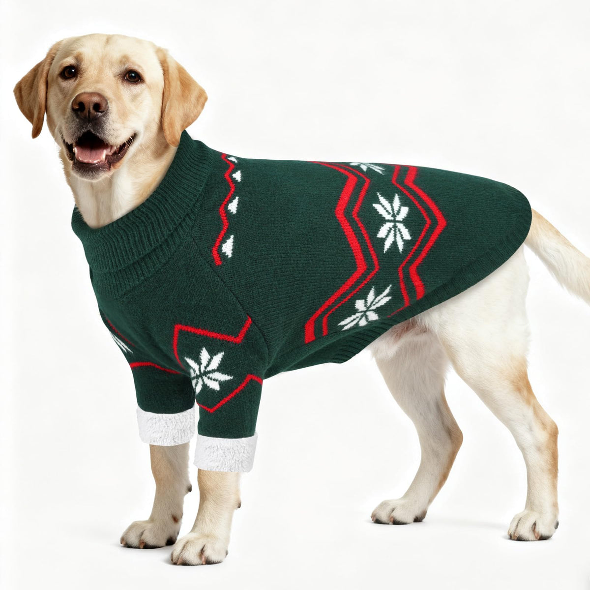 Wingoin dog sweater large breed model wearing warm knit for cold days