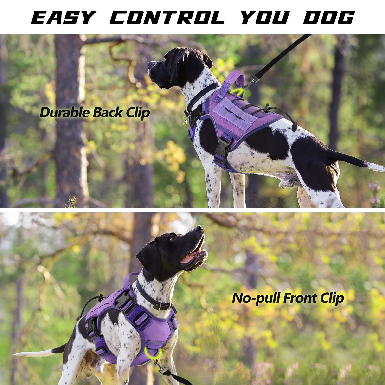 WINGOIN reflective strip ensures visibility during evening walks for safety.