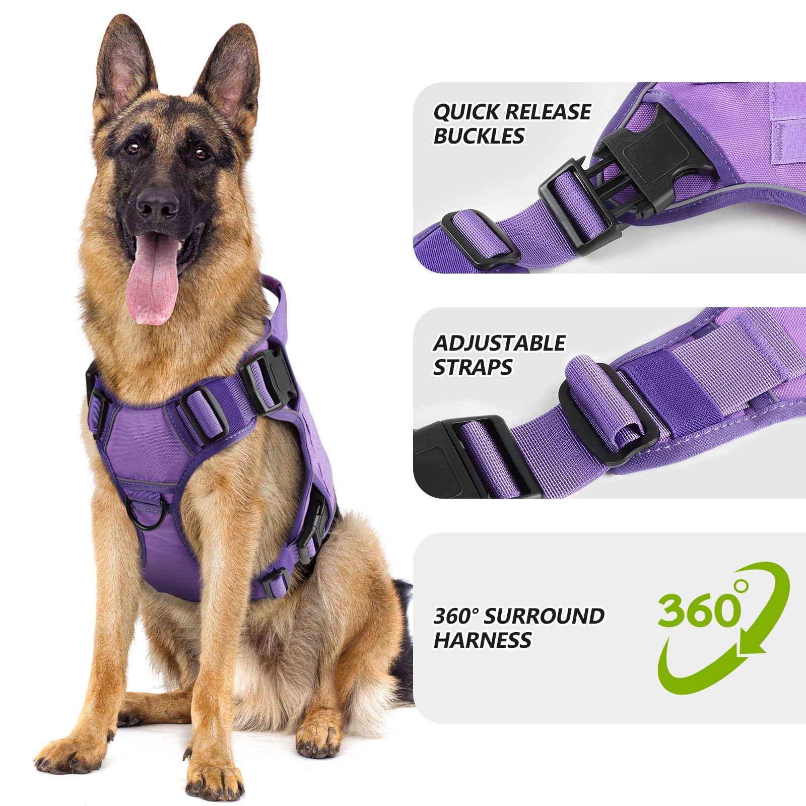 WINGOIN medium dog harness D-rings close-up for secure training control.