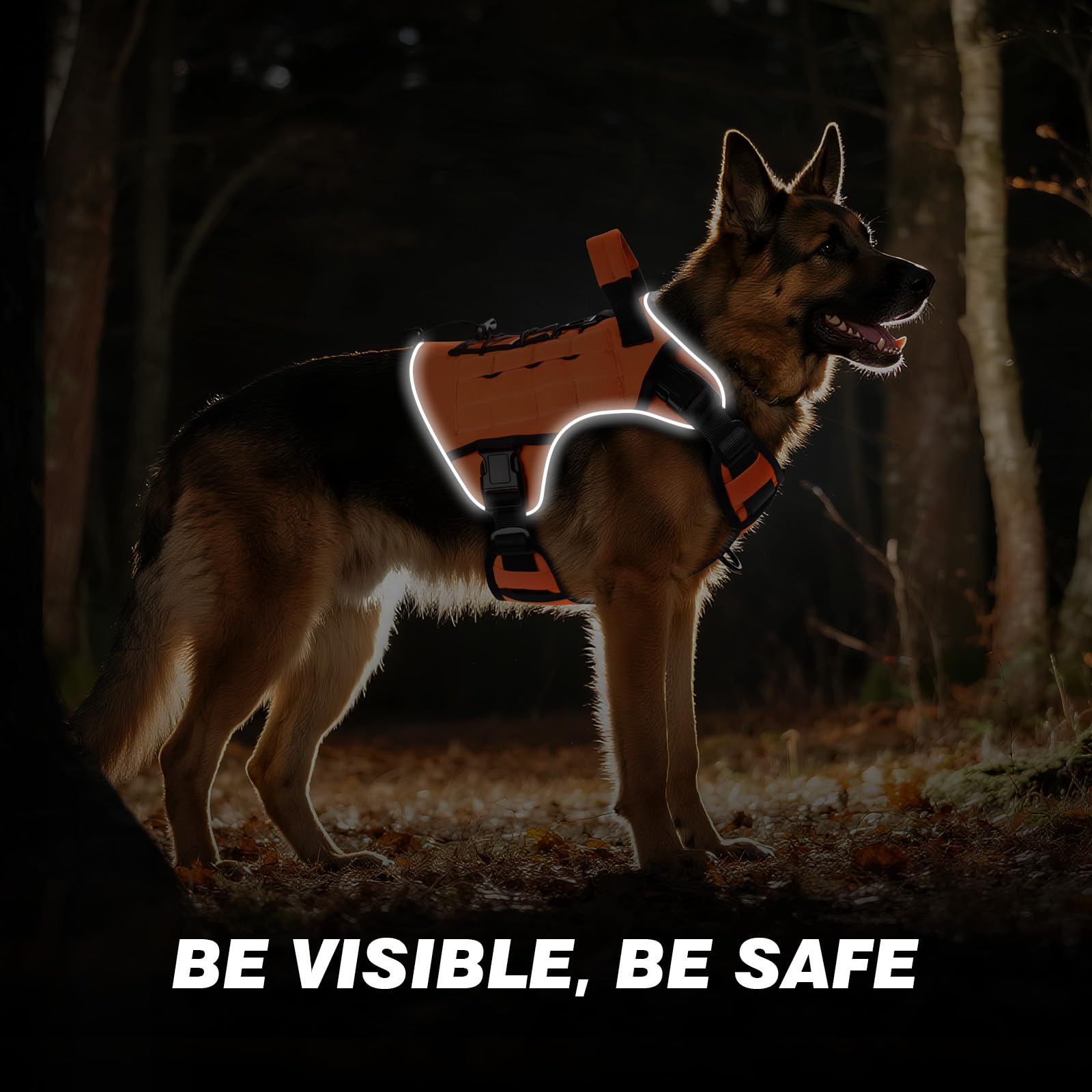 wingoin orange harness four-buckle design, quick-fit for fast on/off