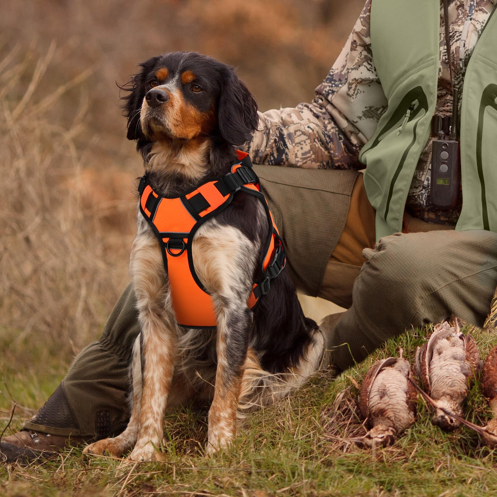 WINGOIN orange tactical dog harness in-use walking demonstrates secure fit